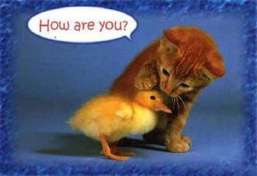 How Are You ?