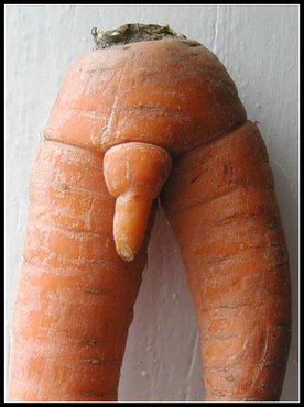 http://felicitari.alege.net/18/naughty_carrot.jpg