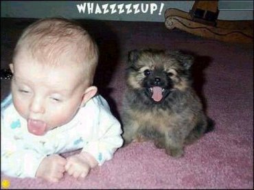 Whazzzzzzzzzzup!