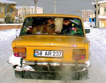Winter Transport