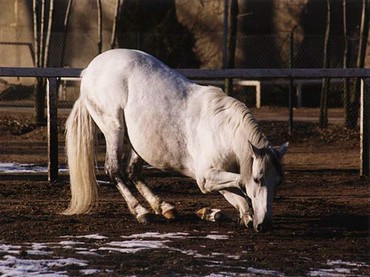 Cazand