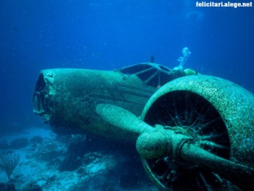 Sunken Plane Aruba