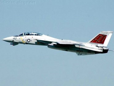 Tomcat