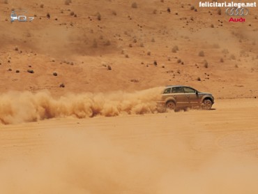 Audi Q7 in desert
