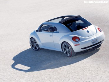 Bettle S