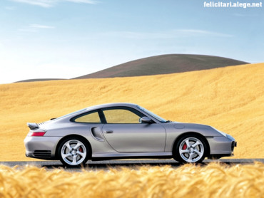 Car in golden field