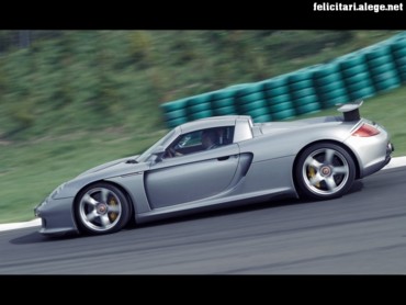 Carrera GT speed
