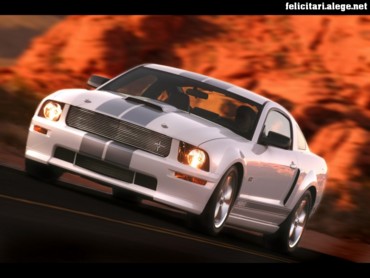 Ford Shelby GT white