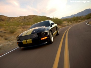 Ford Shelby GT