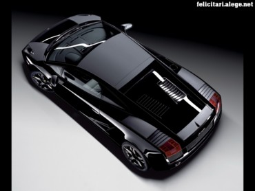 Gallardo rear up