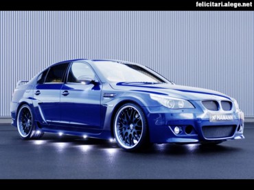 Hamman BMW 2006