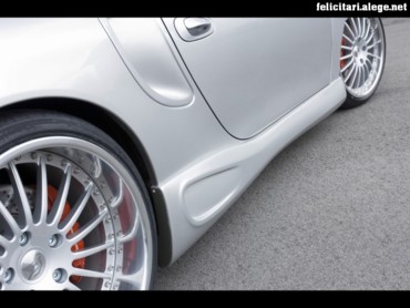 Hamman Porsche 2