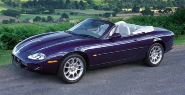 Jaguar Albastru