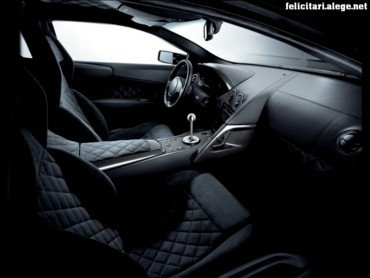 Murcielago inside