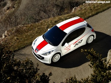 Peugeot 207 RCup