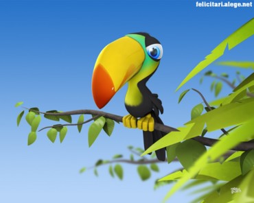 Colored parrot