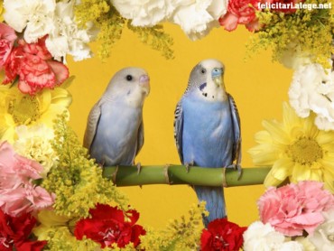Just Married