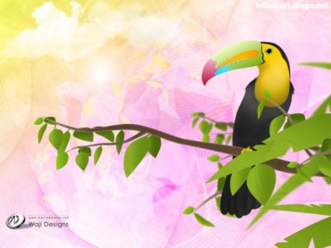 Wajidesigns