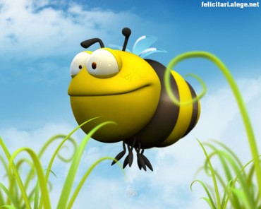 Big bee