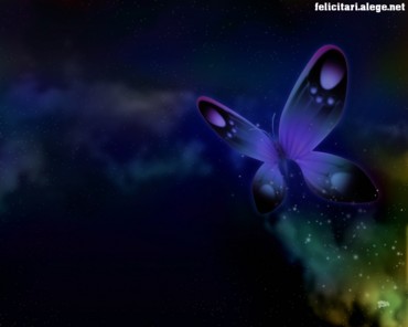 Blue butterfly