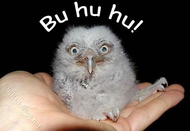 Buhuhu