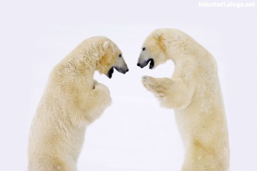 Friends Discution