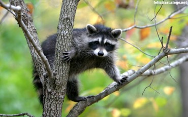Hangin out