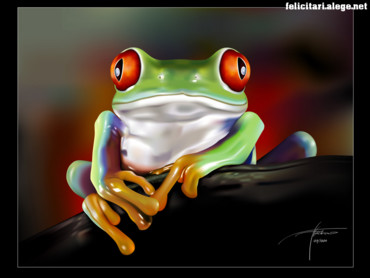 Red Eye Frog