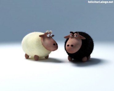 Sheep talk