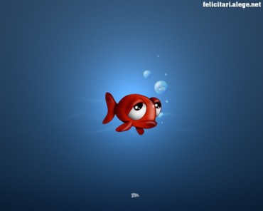 Sad fish