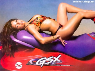 Vida Guerra