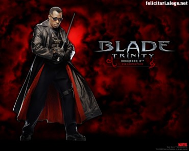 Blade with sword