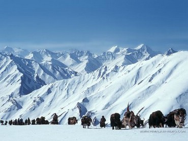 Himalaya