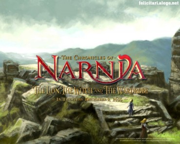 Narnia rocks