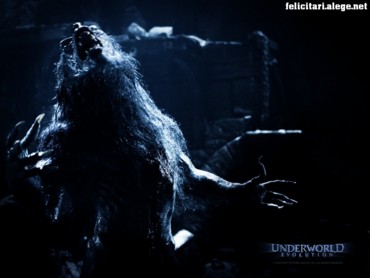 Underworld evolution