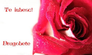 Te Iubesc Dragobete