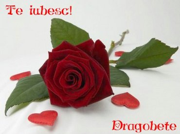 Te Iubesc Dragobete