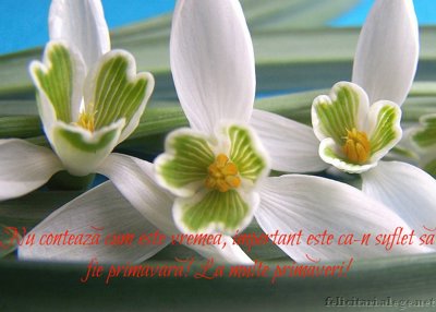 La Multe Primaveri!
