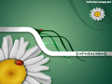Elements of spring