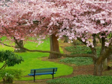 Evergreen Park