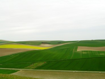 Fields in spring