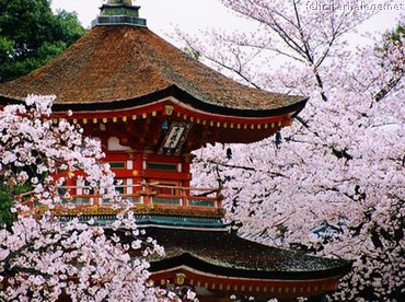 House In Spring