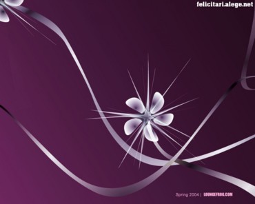 Spring abstract flower