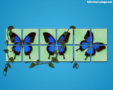 Spring blue butterfly