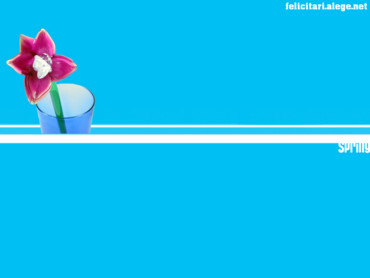 Spring flower