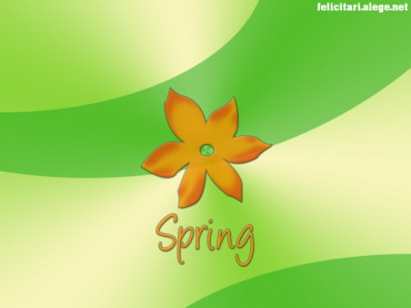 Spring orange flower