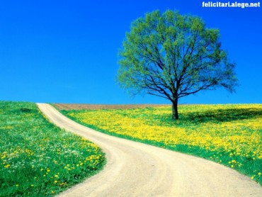 Spring road