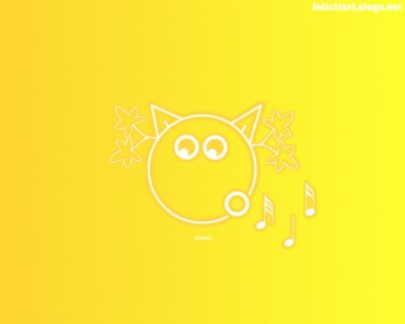 Spring yellow cat