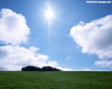Sun Shining