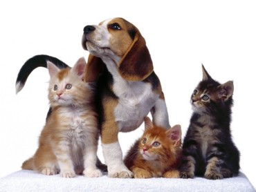 Family Portrait